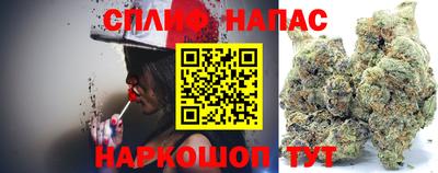 сатива Бугуруслан