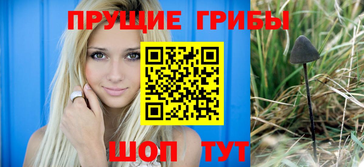 Галлюциногенные грибы Psilocybine cubensis  Вход с VPN  Полысаево 